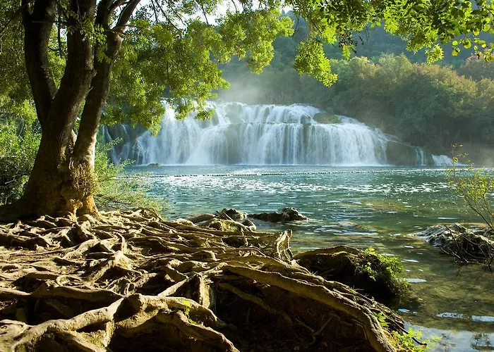 Apartment Roka - Center *